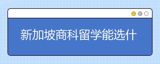 新加坡商科留学能选什么专业