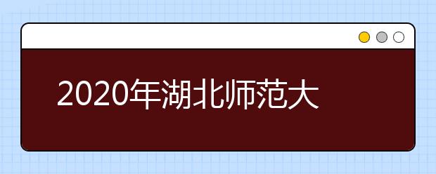 2020年湖北师范大学艺术类本科专业拟招生计划