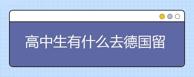 高中生有什么去德国留学的途径