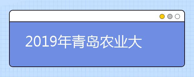 2019年青岛农业大学艺术类本科专业录取分数线