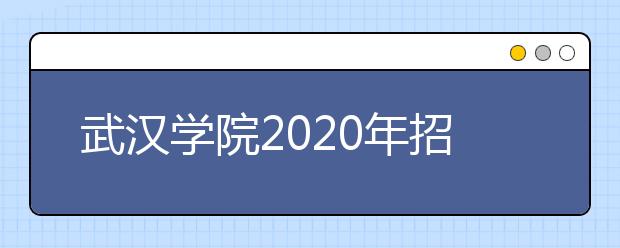 武汉学院2020年招生章程（含艺术类）