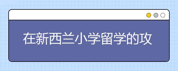 在新西兰小学留学的攻略