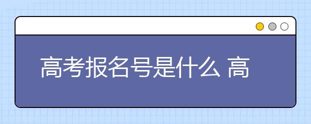 高考报名号是什么 高考报名号怎么查询