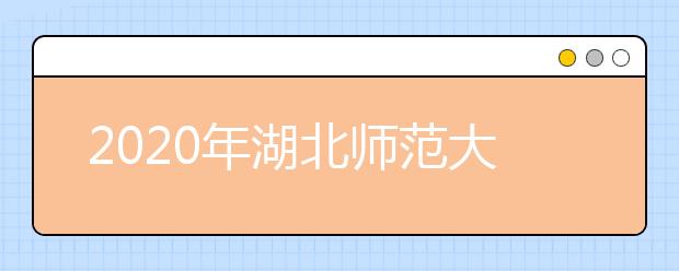 2020年湖北师范大学艺术类本科专业拟招生计划