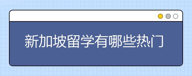 新加坡留学有哪些热门专业？