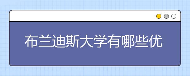 布兰迪斯大学有哪些优势专业？