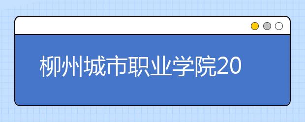 柳州城市职业学院2020年单独考试招生简章