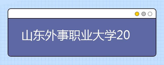 山东外事职业大学2020年数字媒体艺术（本科）招生简章