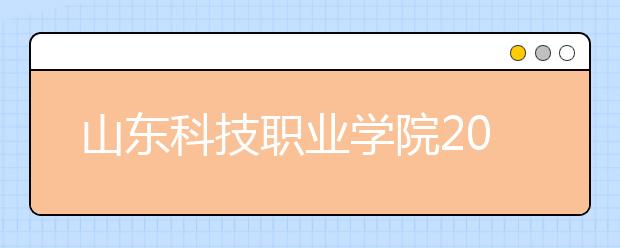 山东科技职业学院2020年艺术类专业招生简章