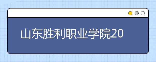 山东胜利职业学院2020年普通高等教育招生章程