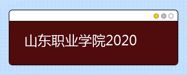 山东职业学院2020年普通高等教育招生章程