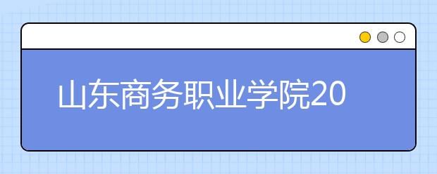 山东商务职业学院2020年普通高等教育招生章程