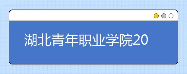 湖北青年职业学院2020年招生章程