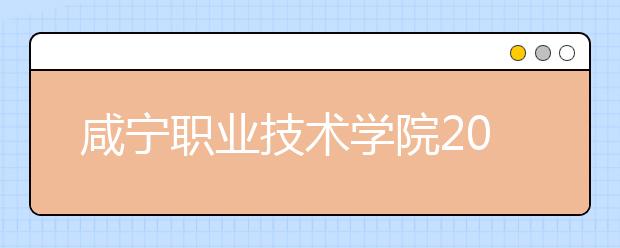 咸宁职业技术学院2020年招生章程