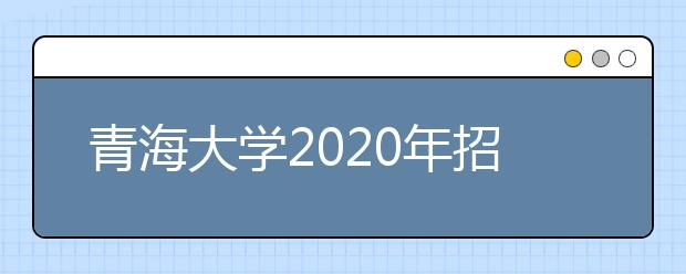 青海大学2020年招生章程