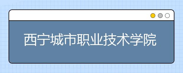 西宁城市职业技术学院2020年招生章程