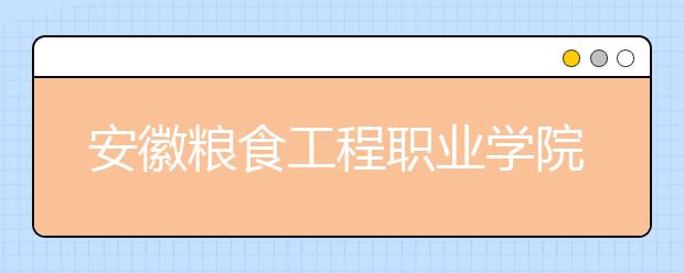 安徽粮食工程职业学院2020年分类考试招生章程