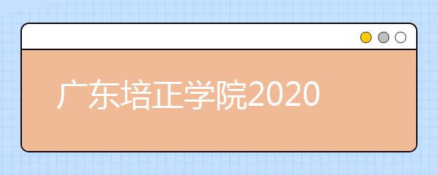 广东培正学院2020年夏季普通高考招生章程(含艺术类)