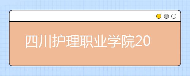 四川护理职业学院2020年招生章程