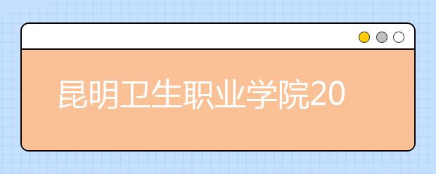 昆明卫生职业学院2020年单独考试招生章程