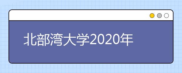 北部湾大学2020年招生章程（含艺术类）