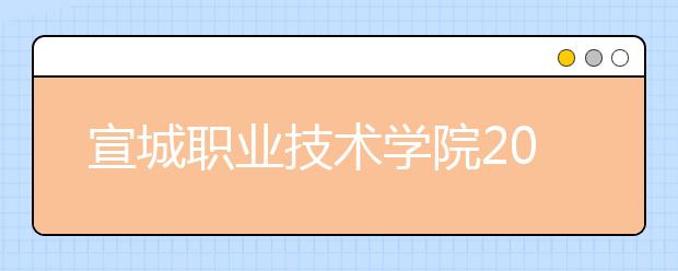 宣城职业技术学院2020年安徽省高职分专业招生计划