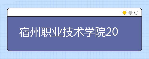 宿州职业技术学院2020年安徽省高职分专业招生计划