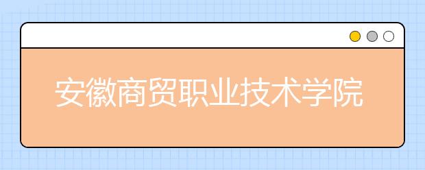 安徽商贸职业技术学院2020年安徽省高职分专业招生计划