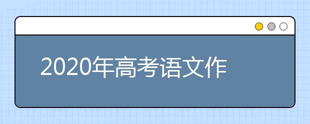 2020年高考语文作文：词语生动，句式灵活——有文采