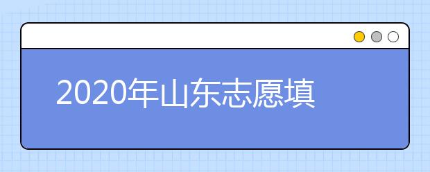 2020年山东志愿填报政策及录取情况分析