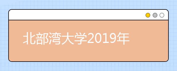 北部湾大学2019年艺术类本科专业录取线