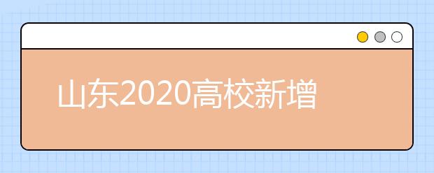 山东2020高校新增专业附完整版山东高校本科专业备案和审批结果