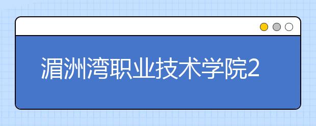 湄洲湾职业技术学院2019年退役军人扩招专项计划(专科)