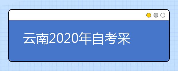 云南2020年自考采购与供应管理（专科）专业计划