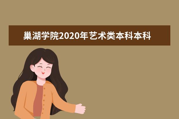 巢湖学院2020年艺术类本科本科招生计划