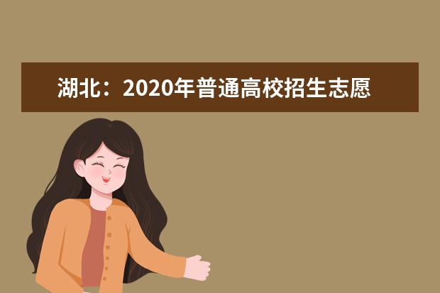 湖北：2020年普通高校招生志愿草表及填写说明