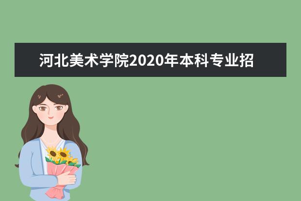 河北美术学院2020年本科专业招生计划