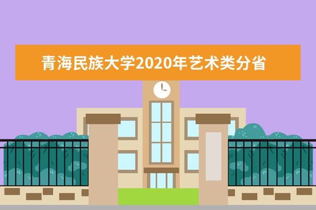 青海民族大学2020年艺术类分省分专业招生计划