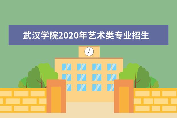 武汉学院2020年艺术类专业招生计划