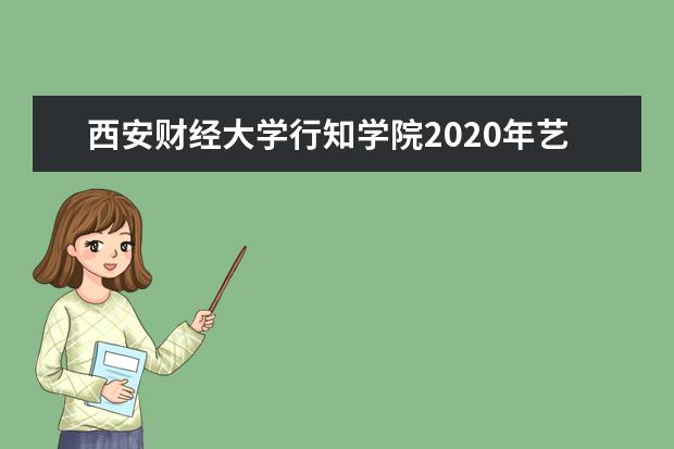 西安财经大学行知学院2020年艺术类本科招生计划