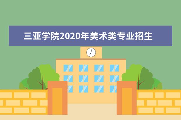 三亚学院2020年美术类专业招生计划