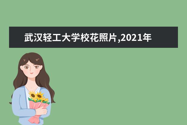 武汉轻工大学校花照片,2021年武汉轻工大学校花是谁(多图)