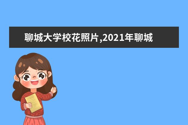 聊城大学校花照片,2021年聊城大学校花是谁(多图)