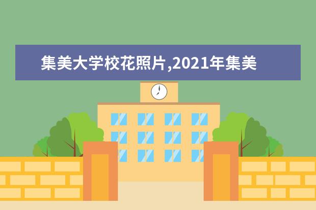 集美大学校花照片,2021年集美大学校花是谁(多图)