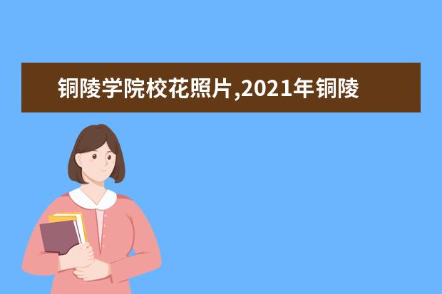 铜陵学院校花照片,2021年铜陵学院校花是谁(多图)