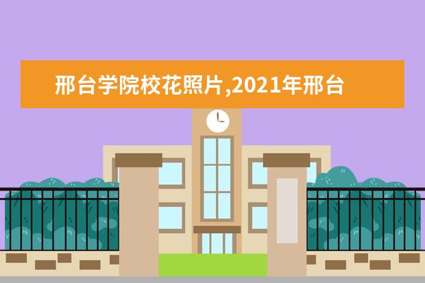 邢台学院校花照片,2021年邢台学院校花是谁(多图)