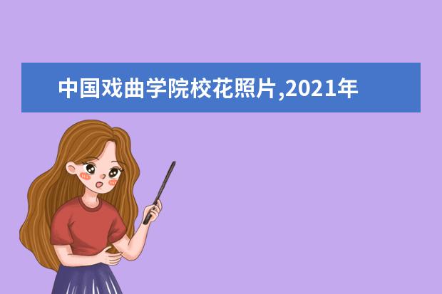 中国戏曲学院校花照片,2021年中国戏曲学院校花是谁(多图)