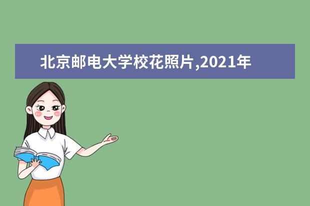 北京邮电大学校花照片,2021年北京邮电大学校花是谁(多图)