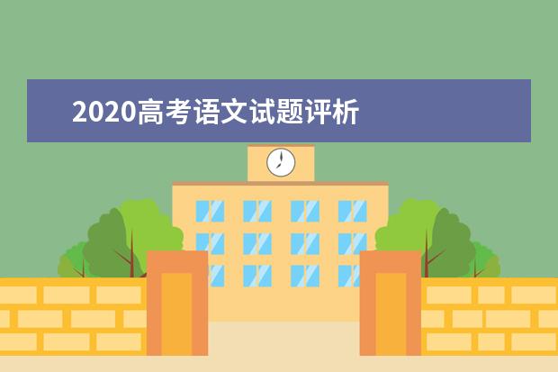 2020高考语文试题评析