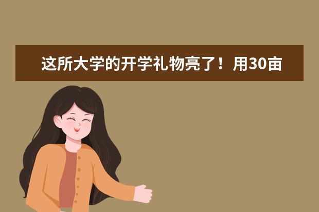 这所大学的开学礼物亮了！用30亩向日葵迎新生